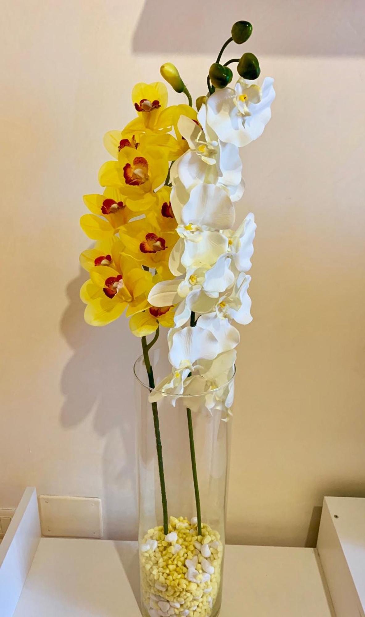 Orchidea Gialla Gaète Extérieur photo